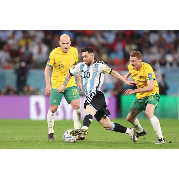 乐鱼 APP